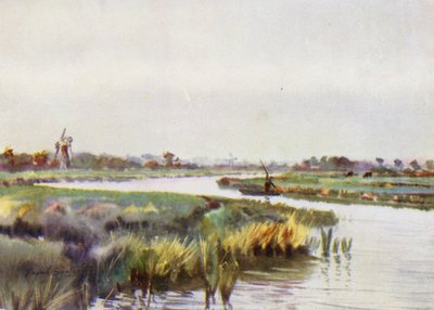 诺福克·布罗斯（Norfolk Broads）：在蚂蚁的韦福德大桥之上 作者 弗兰克·索斯盖特
