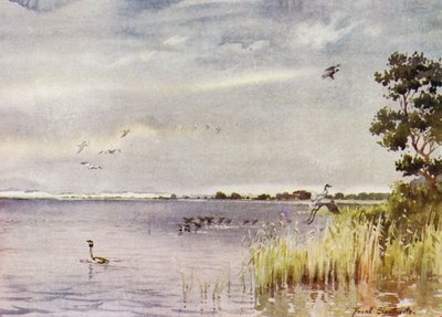诺福克（Norfolk Broads）：霍西仅仅 作者 弗兰克·索斯盖特