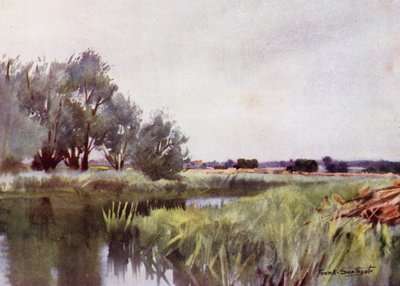 诺福克·布罗斯（Norfolk Broads）：沼泽干草（Marsh Hay）-耶尔（Yare）上的选址 作者 弗兰克·索斯盖特