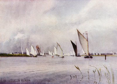 诺福克·布罗斯（Norfolk Broads）：希克林（Hickling）帆船赛 作者 弗兰克·索斯盖特