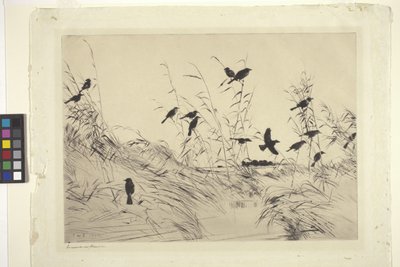 黑鸟与灯心草（纸本水墨） 作者 弗兰克·韦斯顿·本森