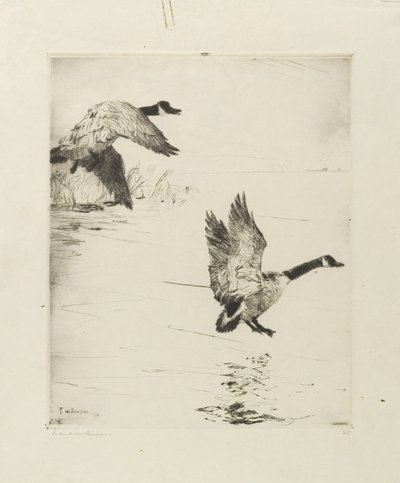 落雁 作者 弗兰克·韦斯顿·本森
