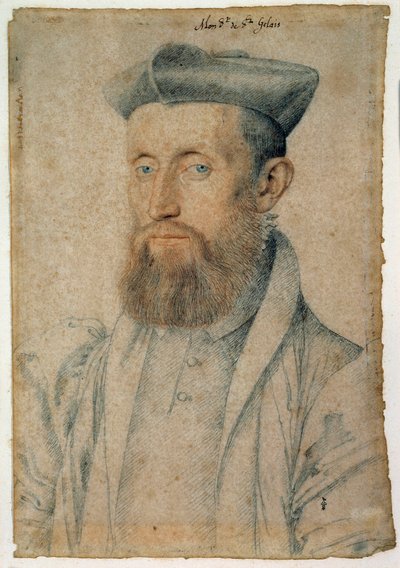 Mellin de Saint-Gelais（或Saint Gelais，Saint Gelays，Saint Gelays，Saint-Gelais，Sainct Gelais）（1495-1558），法国诗人的肖像。 克卢埃·弗朗索瓦（Clouet Francois，1515-1572 年）用鲜血和黑石作画，约 1500 年。尚蒂伊，孔德博物馆 作者 François Clouet