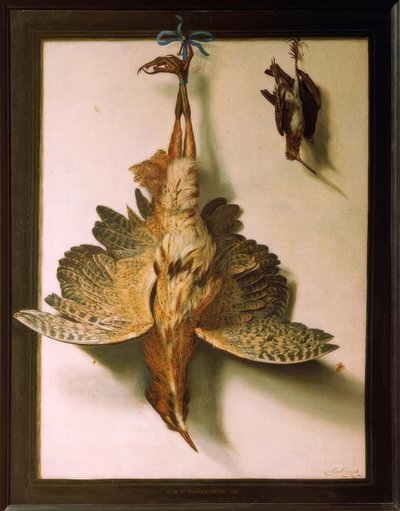 Trompe d&39;oeil与死鸟 作者 弗朗斯·库克（Frans Cuyck van Meyerop）