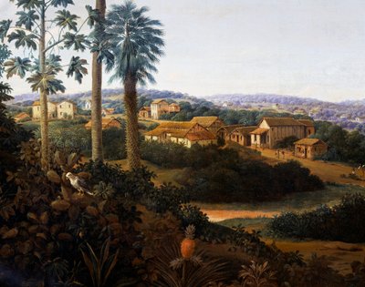 Serinhaem village in Brazil or The home of a sugar cane planter in Brazil (oil on canvas) 作者 弗兰的帖子