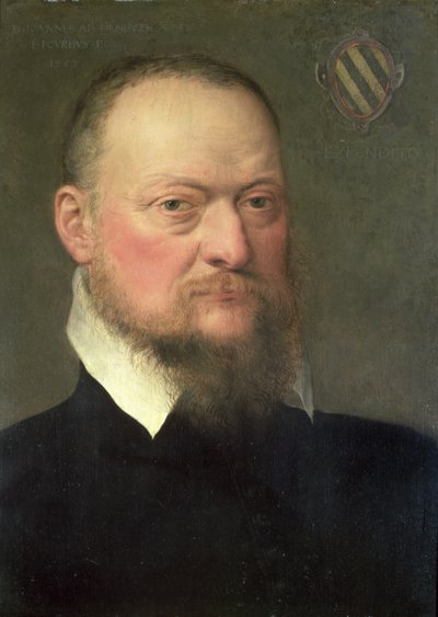 Jan van Hembyze（1513-84），1567年根特加尔文主义者的追随者 作者 弗朗斯·波布斯