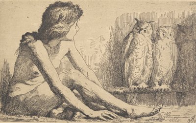 猫头鹰女孩 作者 弗兰斯·施瓦茨