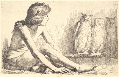 猫头鹰女孩 作者 弗兰斯·施瓦茨