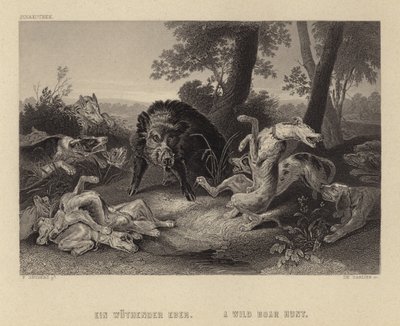 野猪狩猎 作者 Frans Snyders或Snijders