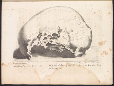 圣鲁莫尔德斯的头骨，1825 年
圣人鲁莫尔德斯盆骨的图像，如圣物柜中的圣人鲁莫尔德斯盆骨（标题在实物上） 作者 弗兰斯·维弗洛特