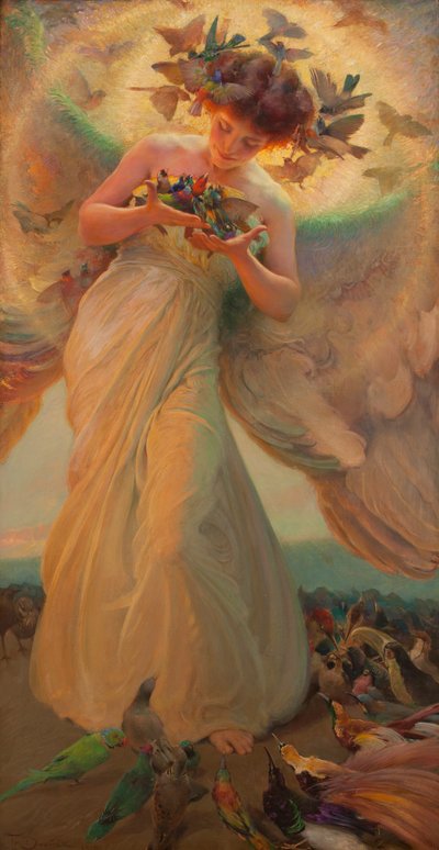 鸟中的天使 作者 Franz Dvorak