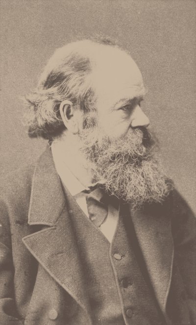 作曲家罗伯特·冯·霍恩斯坦（Robert von Hornstein）的肖像1833-1890。 作者 弗朗茨·汉夫斯坦格尔