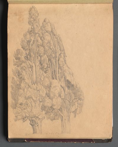 罗马及周边景观相册，景观研究，第 13a 页：树木 作者 弗朗茨·约翰·海因里希·纳多普