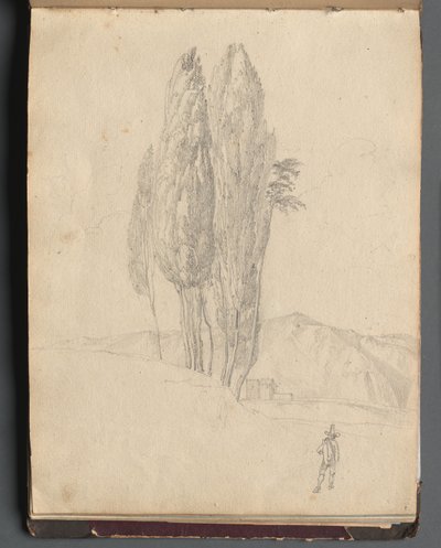 罗马及周边景观相册，景观研究，第 20a 页：树木 作者 弗朗茨·约翰·海因里希·纳多普