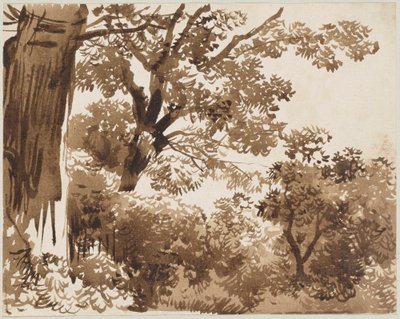 在森林里 作者 弗朗兹·科贝尔（Franz Kobell）