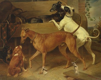 克鲁格斯狗，1855年 作者 弗朗兹·克鲁格（Franz Kruger）