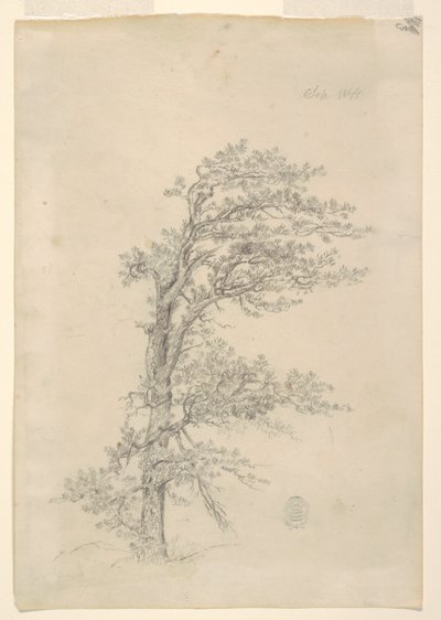 沥青松 作者 弗雷德里克·埃德温·丘奇
