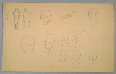 解剖学研究 作者 弗雷德里克·埃德温·丘奇