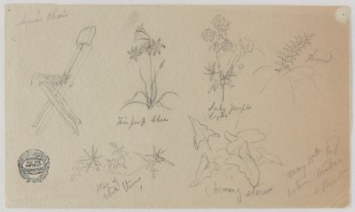 椅子和开花植物，巴勒贝克 作者 弗雷德里克·埃德温·丘奇