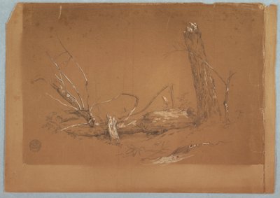 绘画，一棵折断的枯树，1855-65 年 作者 弗雷德里克·埃德温·丘奇