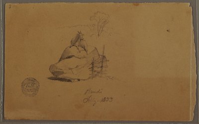 绘画，哥伦比亚潘迪的山羊，1853 年 7 月 作者 弗雷德里克·埃德温·丘奇