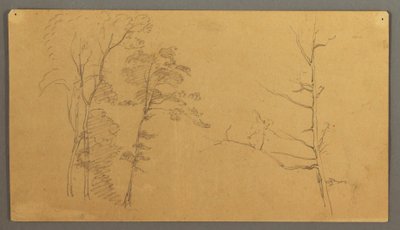素描，带枯树上部的群树，1866 年 作者 弗雷德里克·埃德温·丘奇