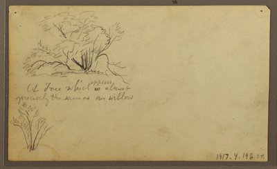 绘画，《哨所上的小屋》，厄瓜多尔瓜亚基尔，1857 年 5 月 作者 弗雷德里克·埃德温·丘奇
