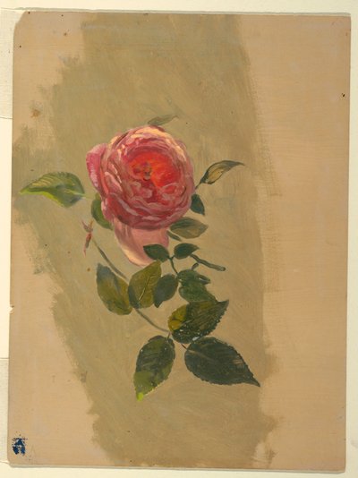 素描，玫瑰枝桠，1860-70 年 作者 弗雷德里克·埃德温·丘奇
