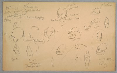 素描，解剖研究，1865-70 年 作者 弗雷德里克·埃德温·丘奇