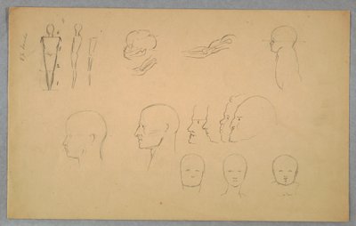 素描，解剖研究，1865-70 年 作者 弗雷德里克·埃德温·丘奇