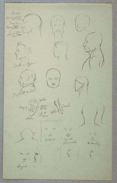 素描，解剖研究，1865-70 年 作者 弗雷德里克·埃德温·丘奇