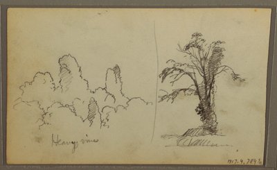 素描，比雷兹，"巴拿马湾的岩石"；背面："沉重的藤蔓"，1857 年 5 月 15 日 作者 弗雷德里克·埃德温·丘奇