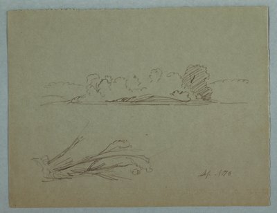素描，植物速写：风景，岸边的树木，1876 年 9 月 作者 弗雷德里克·埃德温·丘奇