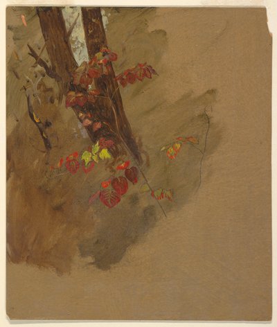 素描，植物研究，1860-70 年 作者 弗雷德里克·埃德温·丘奇