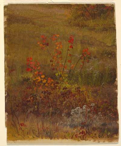 素描，植物研究，1865 年 10 月 作者 弗雷德里克·埃德温·丘奇