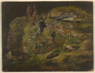 绘画，森林中的大石头，约 1845 年 作者 弗雷德里克·埃德温·丘奇