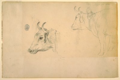 绘图，牛，1844 年 9 月 作者 弗雷德里克·埃德温·丘奇