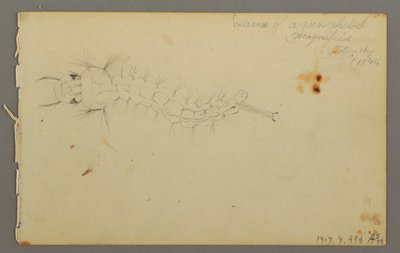 素描，云彩研究，1844 年 作者 弗雷德里克·埃德温·丘奇