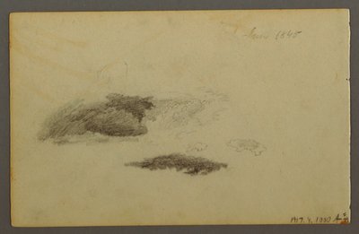 素描，腐朽的桦树，1844 年 作者 弗雷德里克·埃德温·丘奇