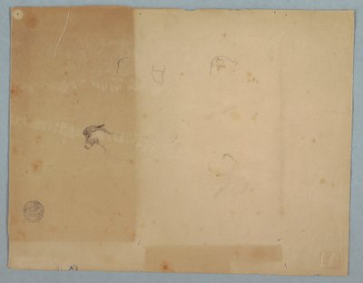 素描，驴头细节，南美，1853 年 作者 弗雷德里克·埃德温·丘奇