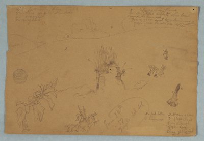 素描，素描  厄瓜多尔基多附近的植物和云彩素描，1857 年 6 月 24 日 作者 弗雷德里克·埃德温·丘奇