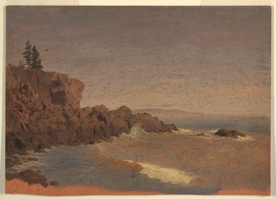 绘图，加拿大大马南岛，约 1850 年 作者 弗雷德里克·埃德温·丘奇