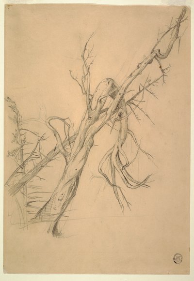 绘图，印第安人营地，大马南，芬迪湾，1851 年 9 月 作者 弗雷德里克·埃德温·丘奇