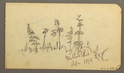 素描，向卡塔丁山望去的湖，1878 年 作者 弗雷德里克·埃德温·丘奇