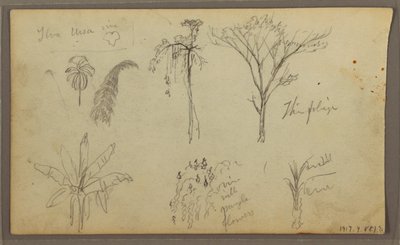 素描，风景，厄瓜多尔瓜亚基尔，1857年5月21日 作者 弗雷德里克·埃德温·丘奇