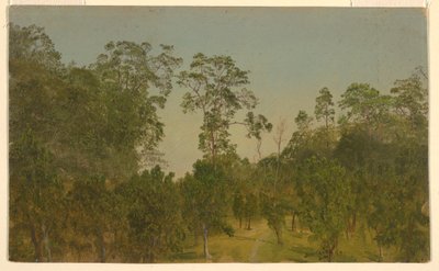 素描，风景，1865 年 7 月 作者 弗雷德里克·埃德温·丘奇