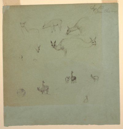 绘画，"钦博拉索 "附近的喇嘛，厄瓜多尔，1853 年 9 月 作者 弗雷德里克·埃德温·丘奇