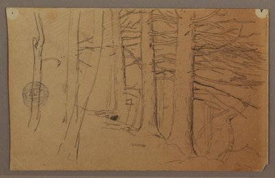 素描，生长在斜坡上的一群树木的下部，1862 年 作者 弗雷德里克·埃德温·丘奇