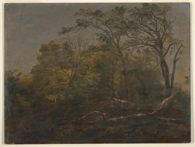 绘画，缅因州森林，1845-55 年 作者 弗雷德里克·埃德温·丘奇