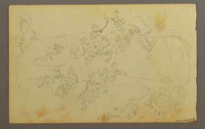 绘图，树木环绕的磨坊，1845 年 作者 弗雷德里克·埃德温·丘奇
